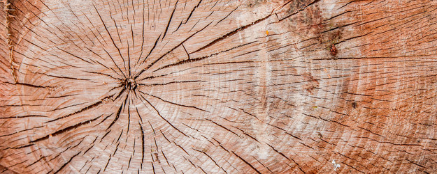 Similar image 22053328