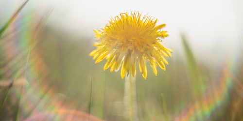 Similar image 22053329