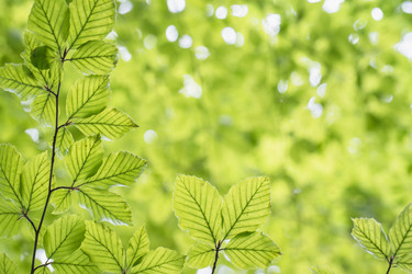 Similar image 22053330