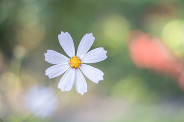 Similar image 22053331