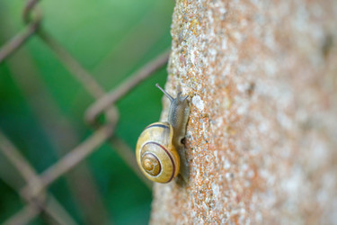 Similar image 22053333