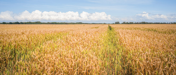 Similar image 22053334