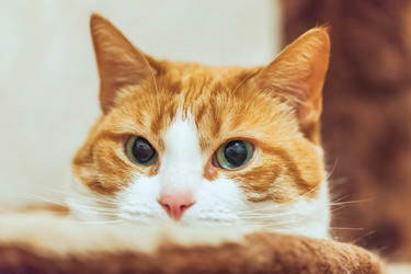 Similar image 22053335