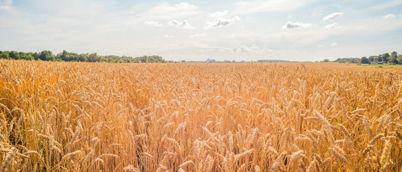 Similar image 22053336