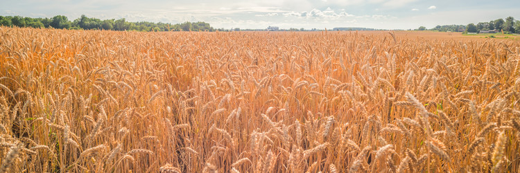 Similar image 22053337