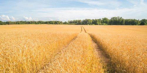 Similar image 22053338