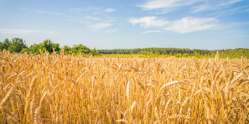 Similar image 22053339