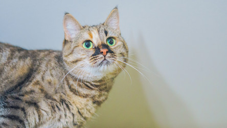 Similar image 22053341