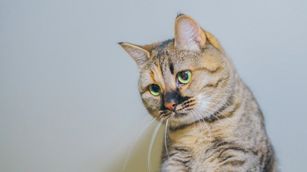 Similar image 22053342