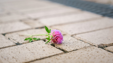 Similar image 22053345