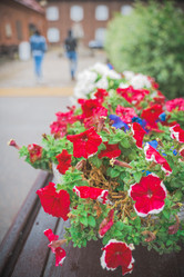 Similar image 22053347