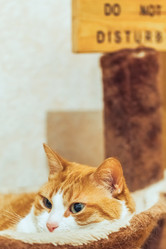 Similar image 22053348