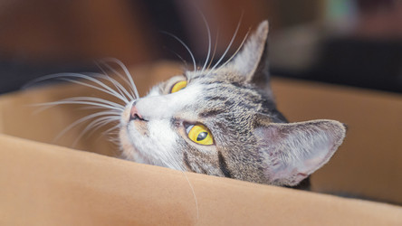 Similar image 22053349