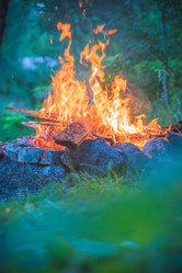 Similar image 22053350