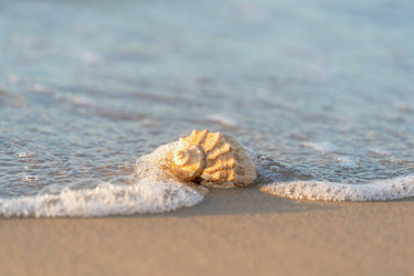 Similar image 22053356