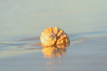 Similar image 22053357