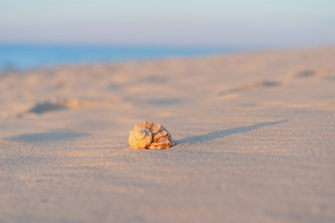 Similar image 22053358