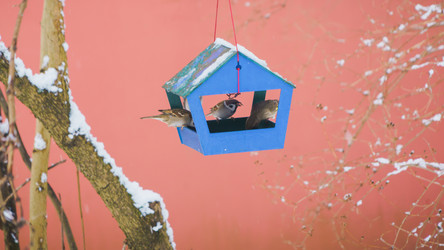 Similar image 22053360