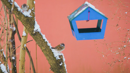 Similar image 22053363