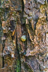 Similar image 22053364