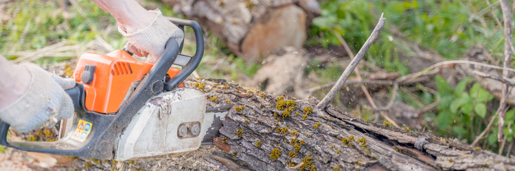 Similar image 22053367