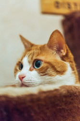 Similar image 22053376