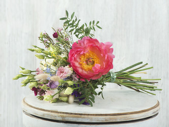 Similar image 22053377