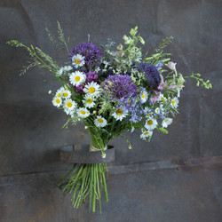 Similar image 22053405