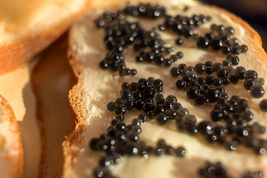 Similar image 22054848