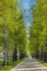 Similar image 22054849