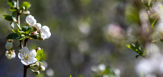 Similar image 22054855