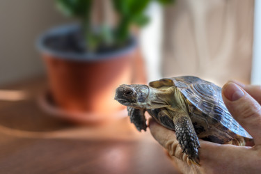 Similar image 22054860