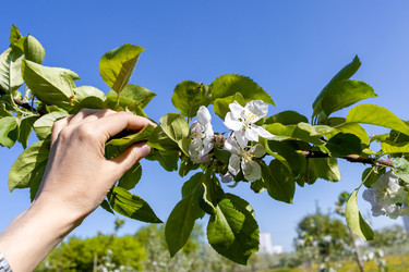 Similar image 22054863