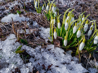 Similar image 22054866