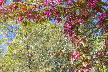 Similar image 22054867