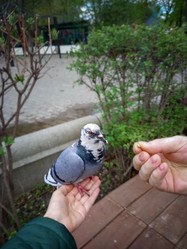 Similar image 22054868