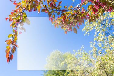 Similar image 22054869