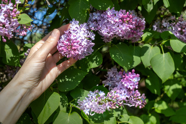 Similar image 22054871