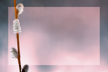 Similar image 22054895