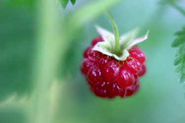 Similar image 22054897