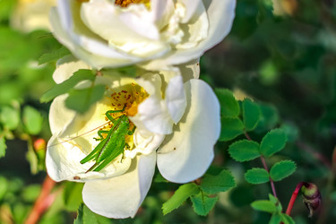 Similar image 22054901