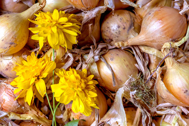 Similar image 22054907