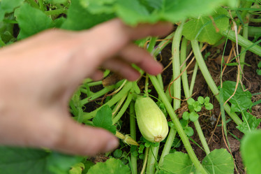 Similar image 22054911