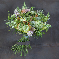 Similar image 22053410