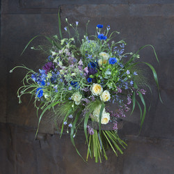 Similar image 22053599