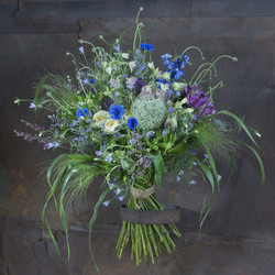 Similar image 22053600