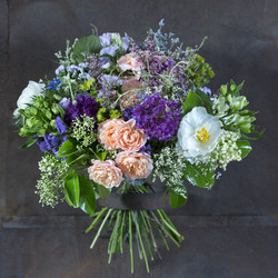 Similar image 22053416