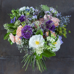 Similar image 22053417