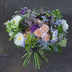 Similar image 22053419