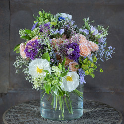 Similar image 22053423